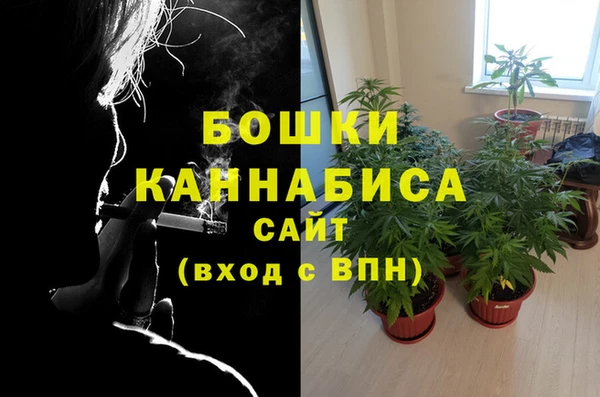 СК Алексеевка