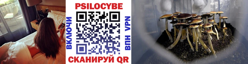 Псилоцибиновые грибы прущие грибы  Бакал 